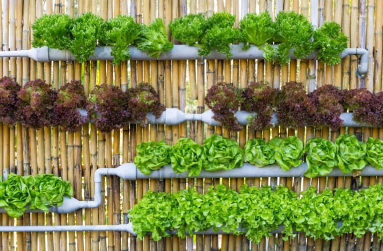 9 Steps to a Thriving DIY Vertical Hydroponic Garden