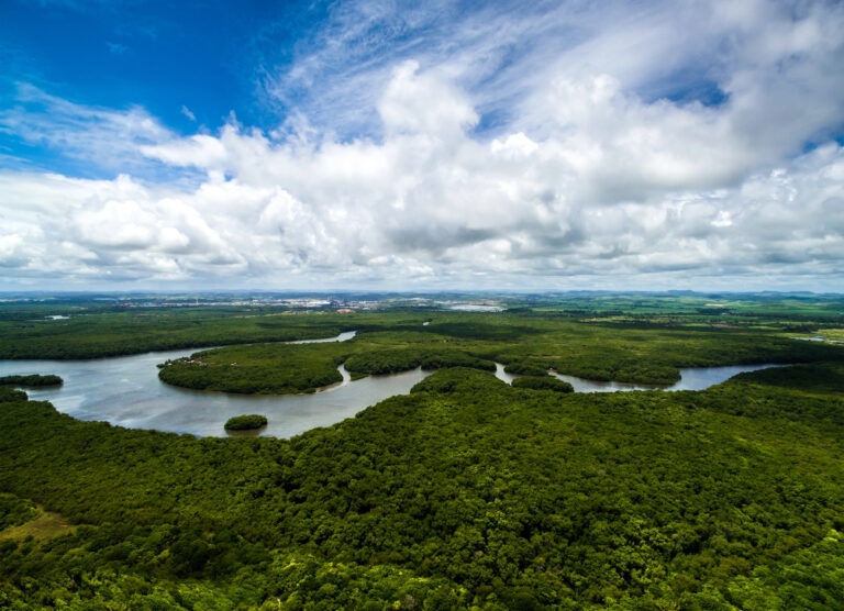 Brazil Ecotourism – Top 8 Best Destinations (2024)