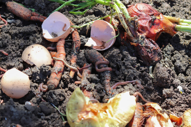 Make Your Own DIY Worm Composting Bin in Minutes