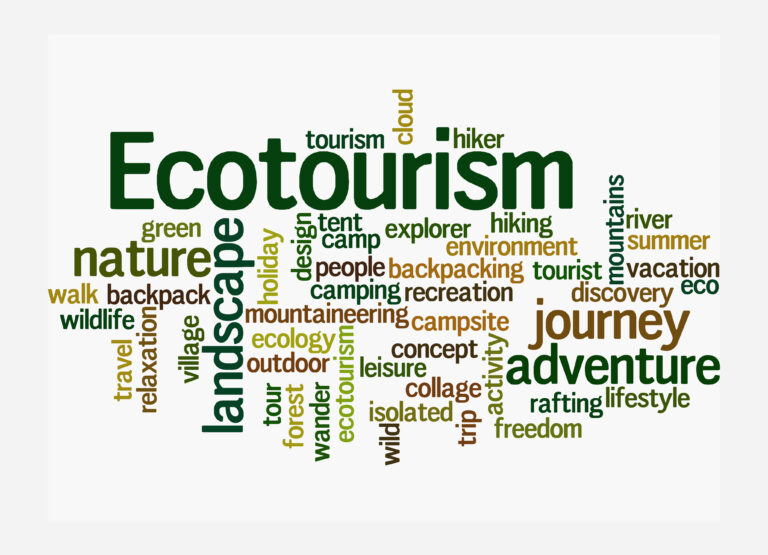Discover The Top Ecotourism Facts You Need To Know