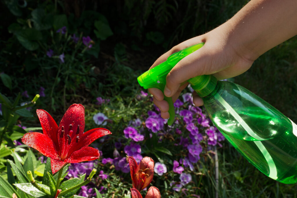 Natural & Homemade Insecticides: DIY Solutions for Bug Control ...