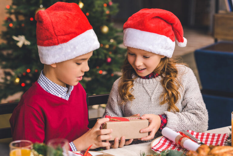 Top 9 Sustainable Toy Brands Parents Will Love for Christmas Gifts