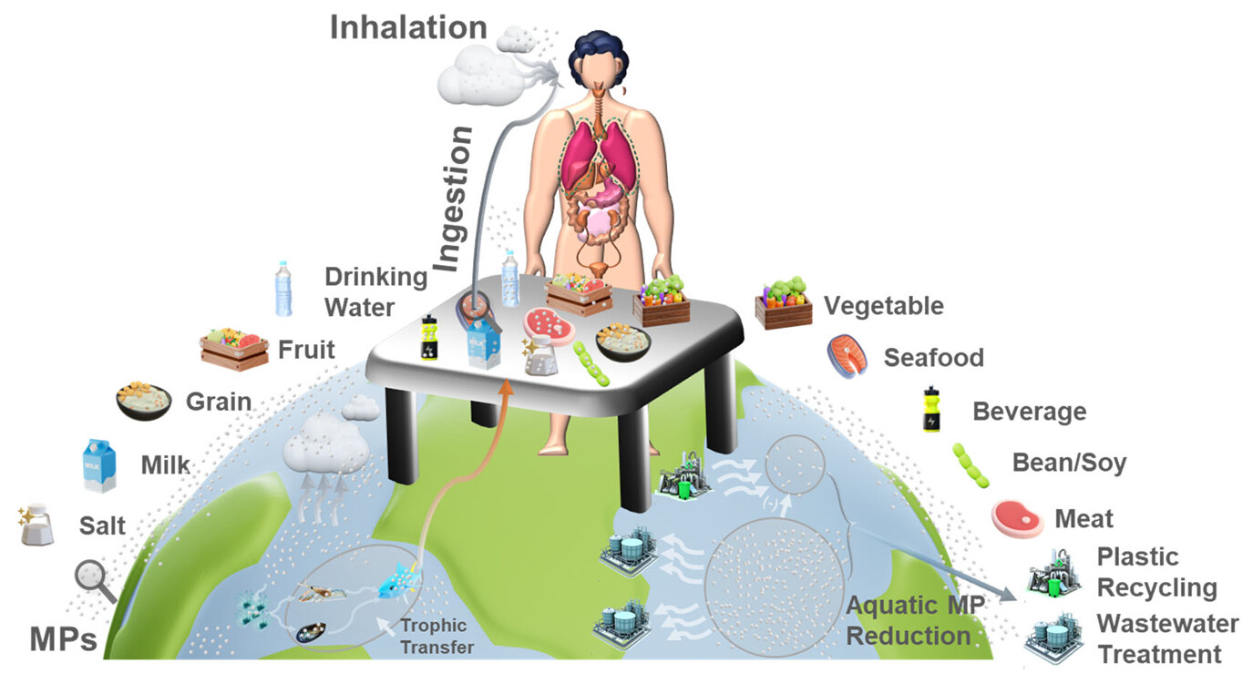 How to Remove Microplastics: 7 Fixes That Work (2026)