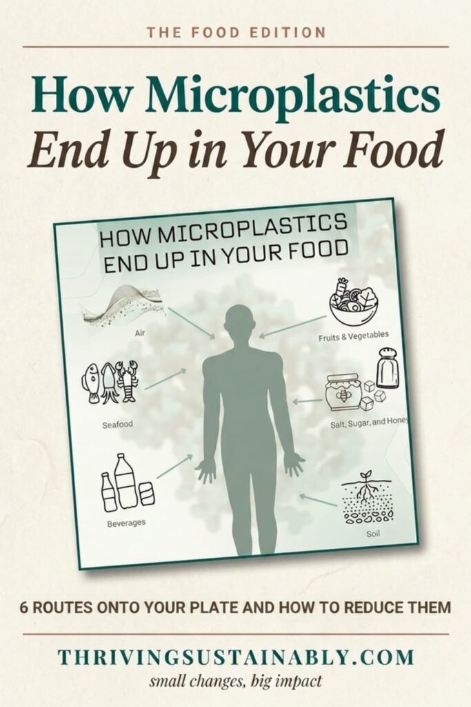 Infographic pin showing how microplastics end up in your food through six routes: air, seafood, beverages, fruits and vegetables, salt, sugar, and honey, and soil