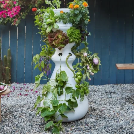 Thriving Sustainably garden.