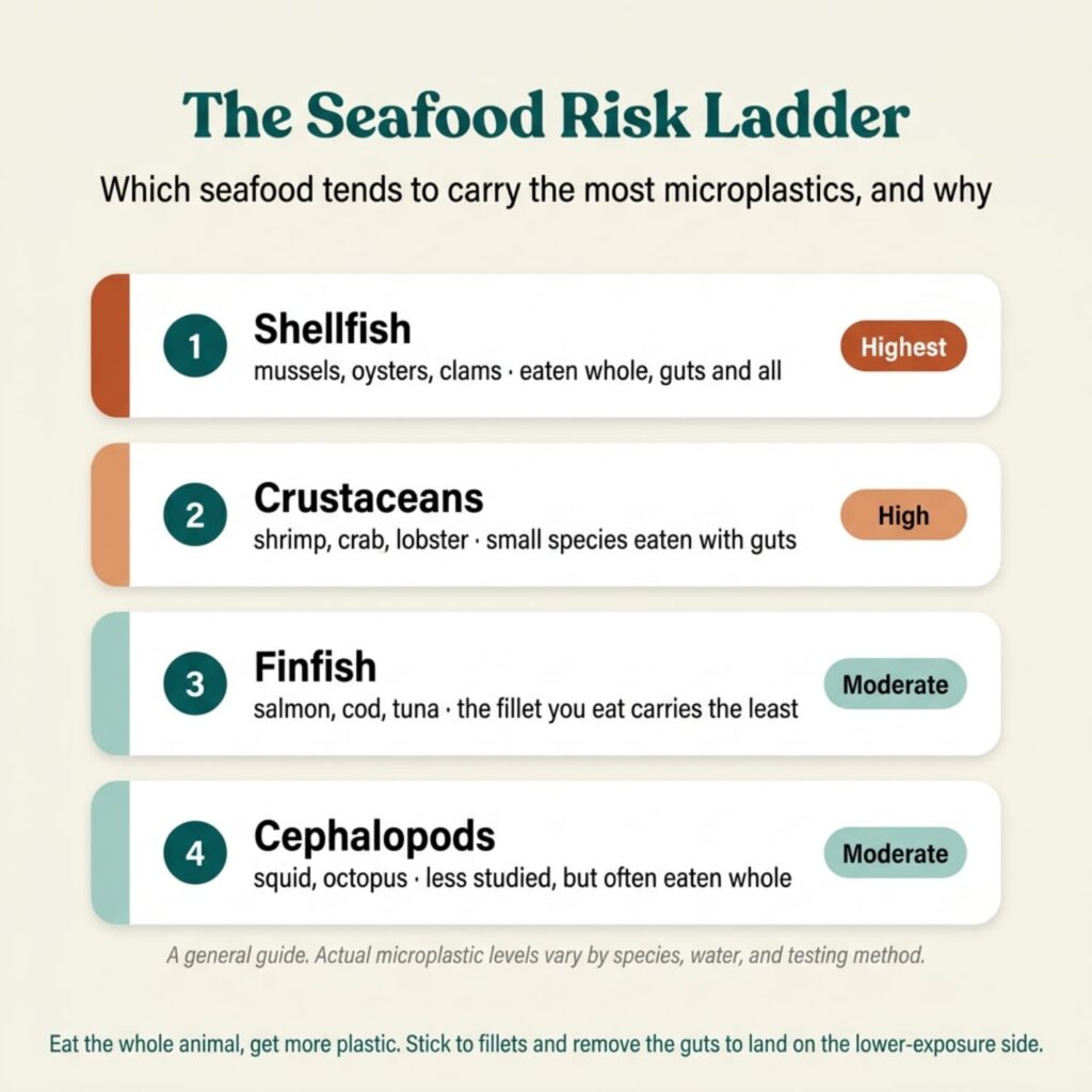 alt text pleaseClaude responded: Infographic titled "The Seafood Risk Ladder" ranking seafood by microplastic risk: shellfish highest, crustaceans high, finfish and cephalopods moderate, becau…Infographic titled "The Seafood Risk Ladder" ranking seafood by microplastic risk: shellfish highest, crustaceans high, finfish and cephalopods moderate, because animals eaten whole carry more plastic than fish fillets