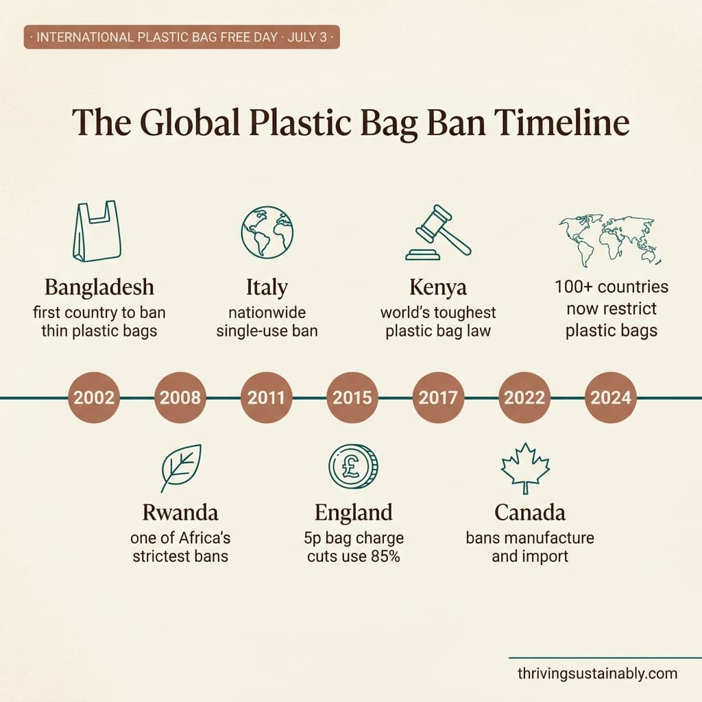 international plastic bag free day ideas