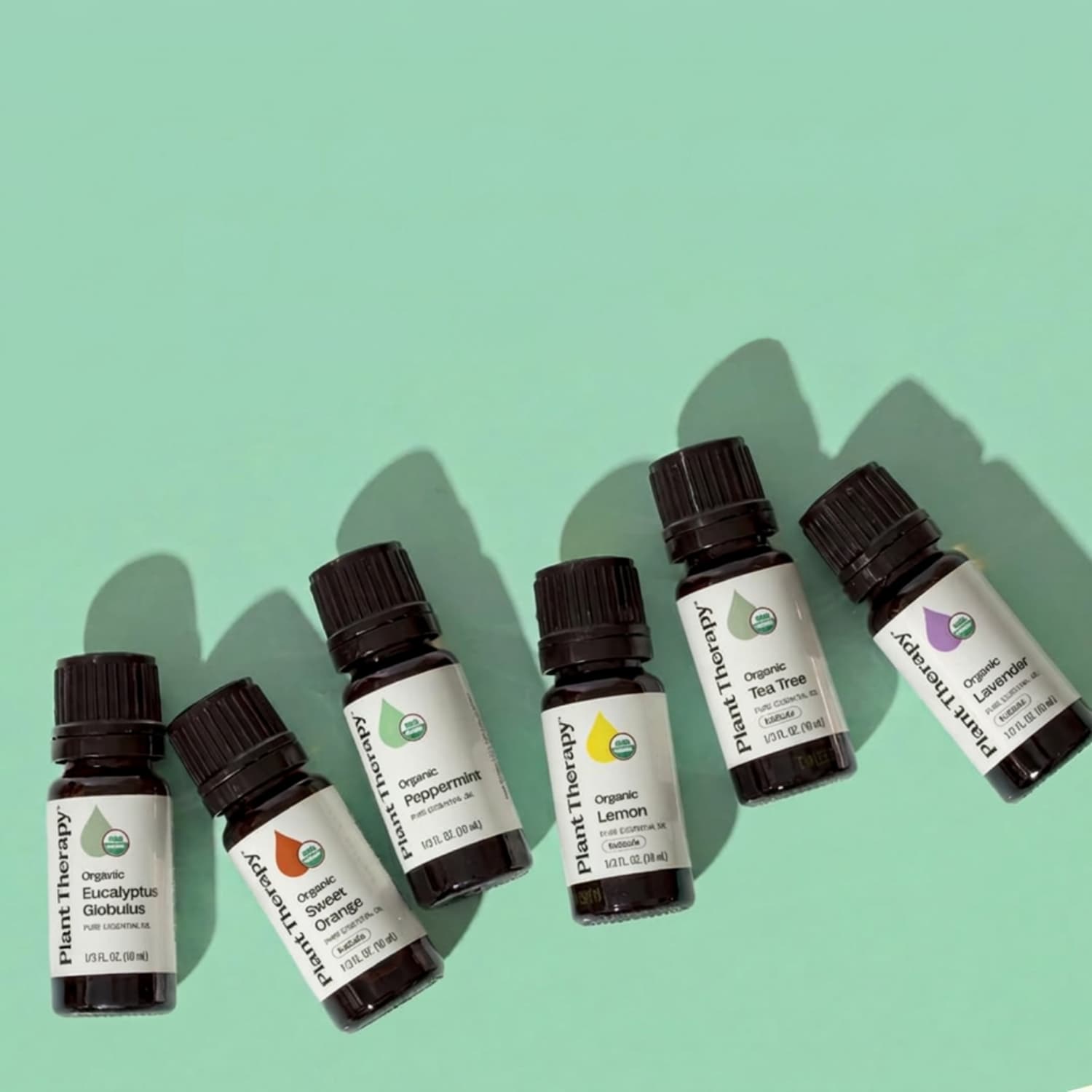 Plant Therapy Top 6 essential oils set for shower steamers