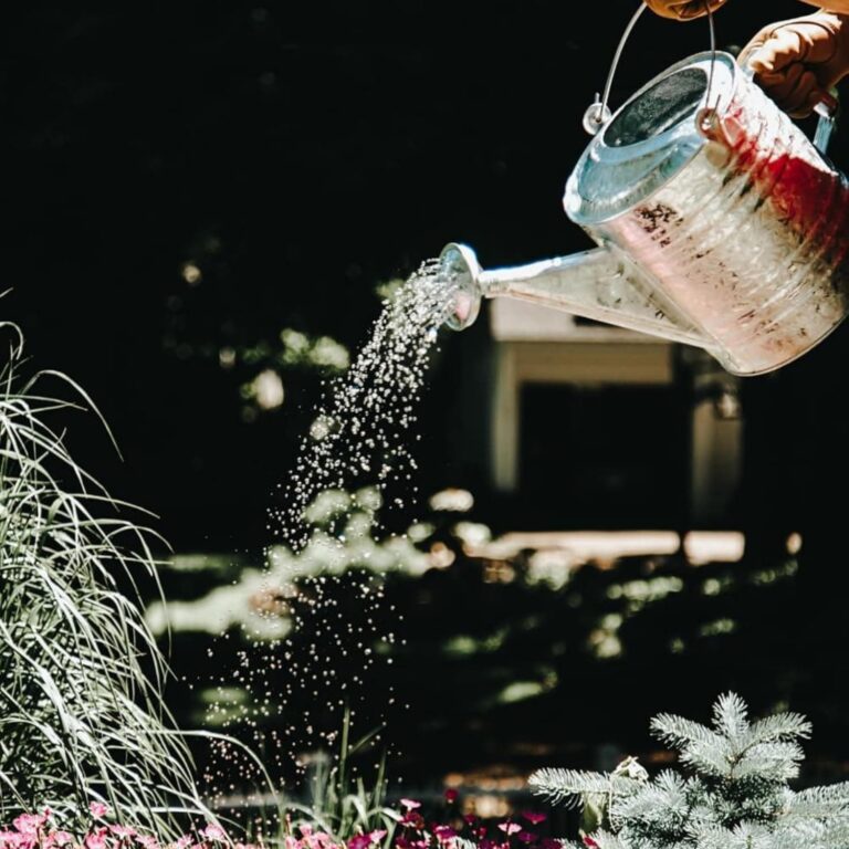 Behrens Steel Watering Can