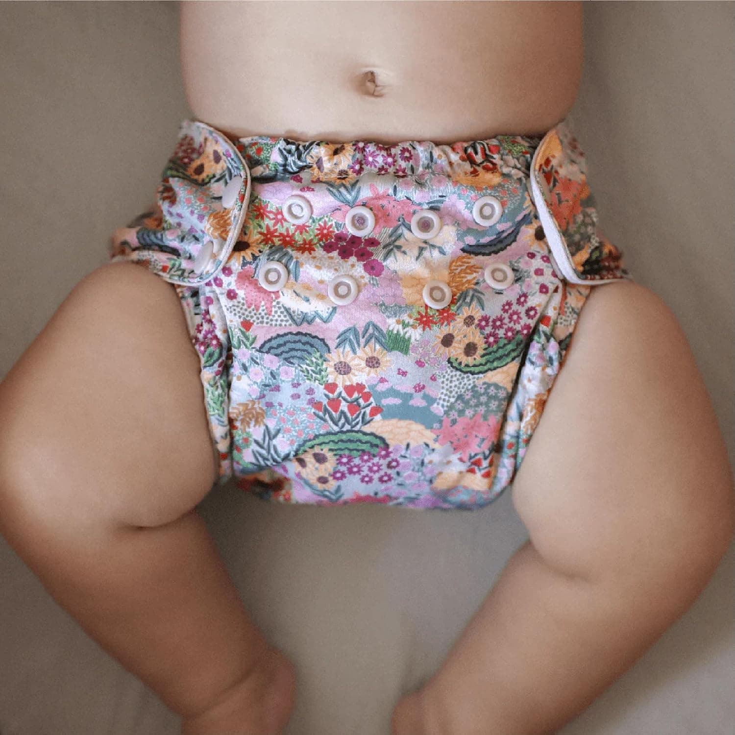Esembly organic cotton cloth diaper system