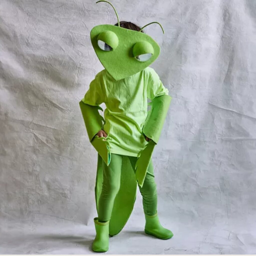 child in a green Praying-Mantis costume