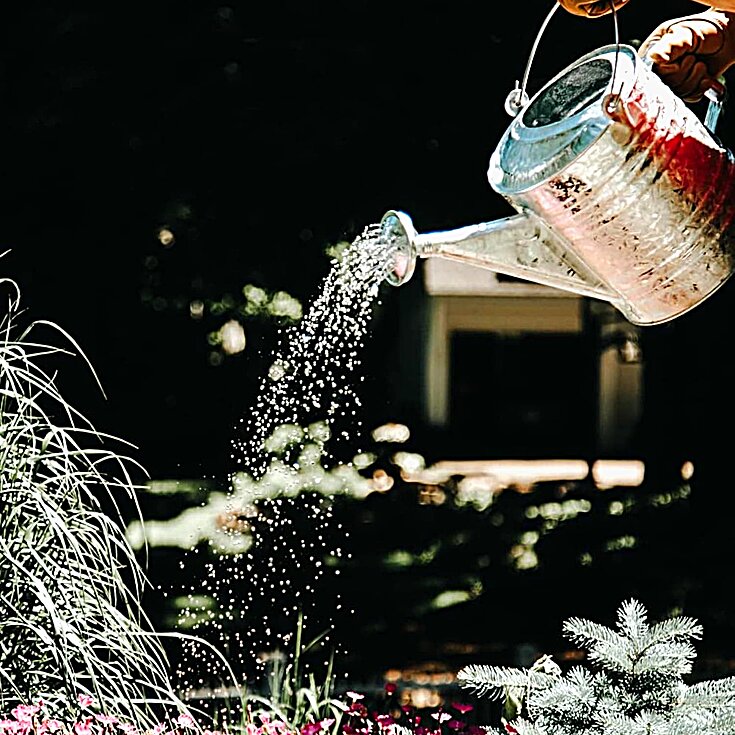 Behrens Steel Watering Can