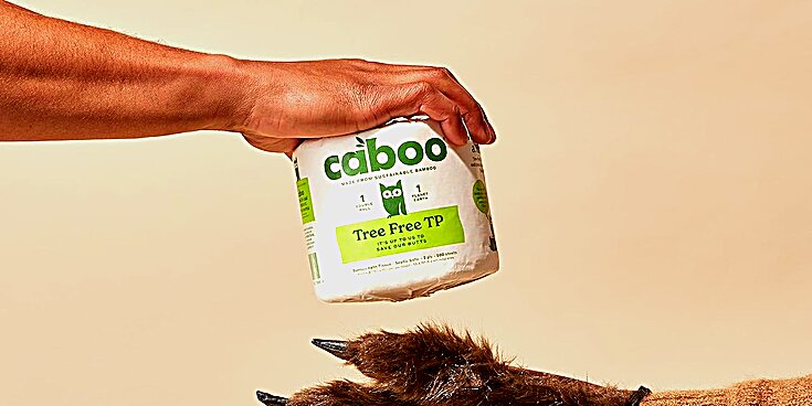 Caboo Tree-Free Bamboo Toilet Paper