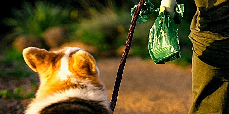 Earth Rated Compostable Plant-Based Poop Bags