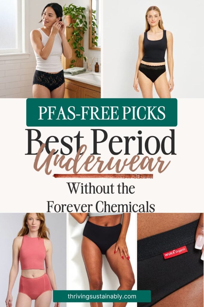 Pinterest pin of the best period underwear without forever chemicals, showing Saalt, Modibodi, Aisle, The Period Company and WUKA
