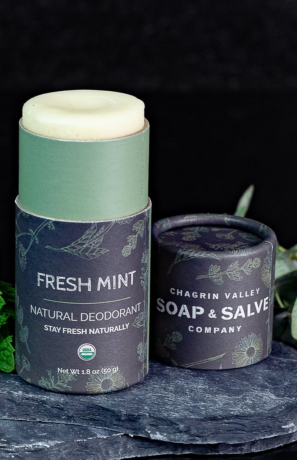 Chagrin Valley Fresh Mint organic deodorant stick in a paperboard tube on slate with fresh mint